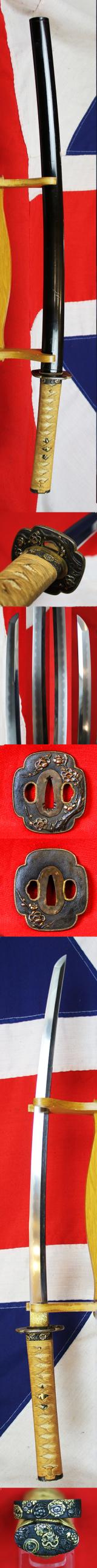 A Super and Most Beautiful Koto Wakazashi Circa 1550 With Original Edo Koshirae of Shakudo, Silver & Gold with a Nagoyamono Tsuba in Shakudo & Gold Prunus Tree With Nanako Ground and a Nanako Rim