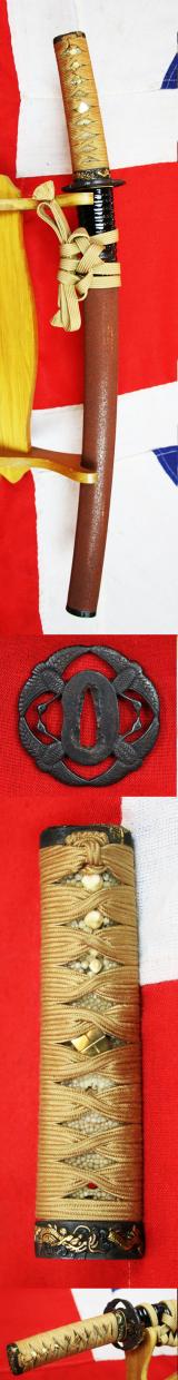 A Simply Breathtaking and Spectacular O-Tanto By One Of The Shinto Period, Great, 'Best of the Best' Samurai Sword Smiths Dewa Daijo Fujiwara Kunimichi circa 1615, With Glorious Soten Dragon Fuchigashira, Tsurumaru Tsuba