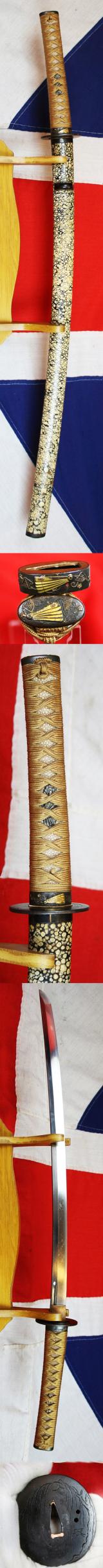 A Beautiful 15th Century Chisa Katana Sword Signed Nobukuni. From The Japanese Warring States Period. Gold Fan & Shakudo Fuchigashira and Polished Samegawa Saya.