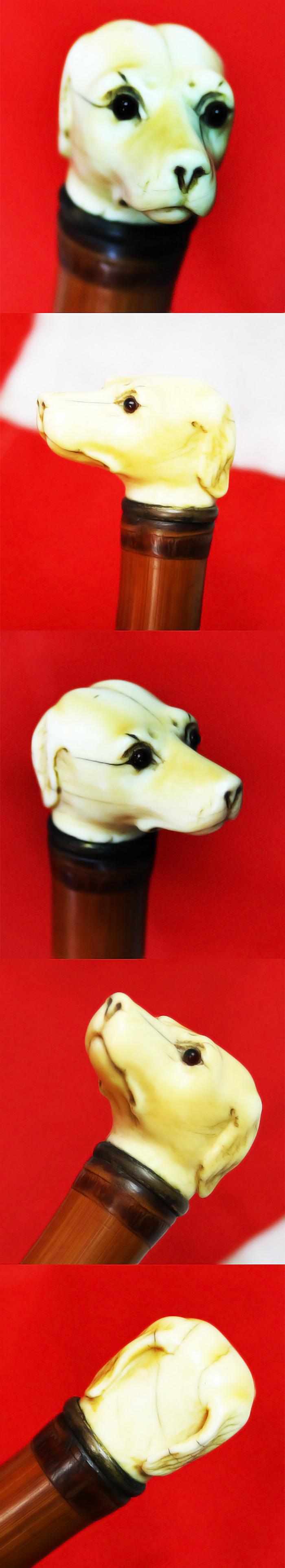 A Fine, Original, 19th Century Antique, King George IIIrd Carved Hound's Head Long Bladed Swordstick. Carved Ivory Head & Blue and Gilt Finely Engraved Steel Blade. Bamboo Wood