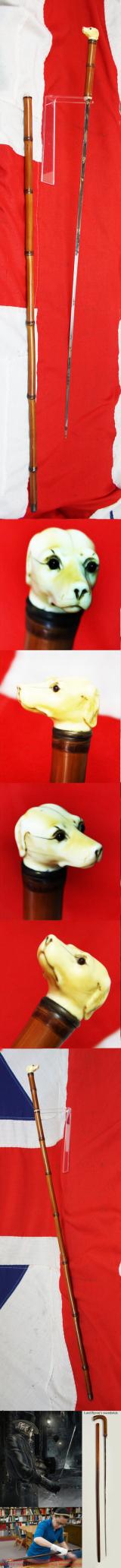 A Fine, Original, 19th Century Antique, King George IIIrd Carved Hound's Head Long Bladed Swordstick. Carved Ivory Head & Blue and Gilt Finely Engraved Steel Blade. Bamboo Wood